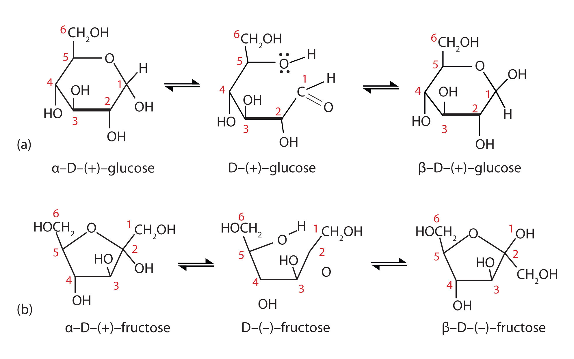 The three interconversion structures of D-glucose (a) and D-fructose (b)