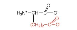 structural formula glutamic acid