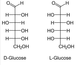 Two structures: D-glucose (on the left) and L-glucose (on the right). D-Glucose has one OH group on the left with three OH groups on the right. L-Glucose has three OH groups on the left and one OH group on the right.