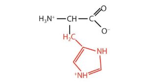 structural formula of histidine