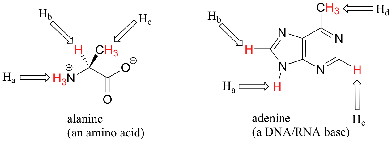 Molecular structures showing equivalent protons in alanine and adenine