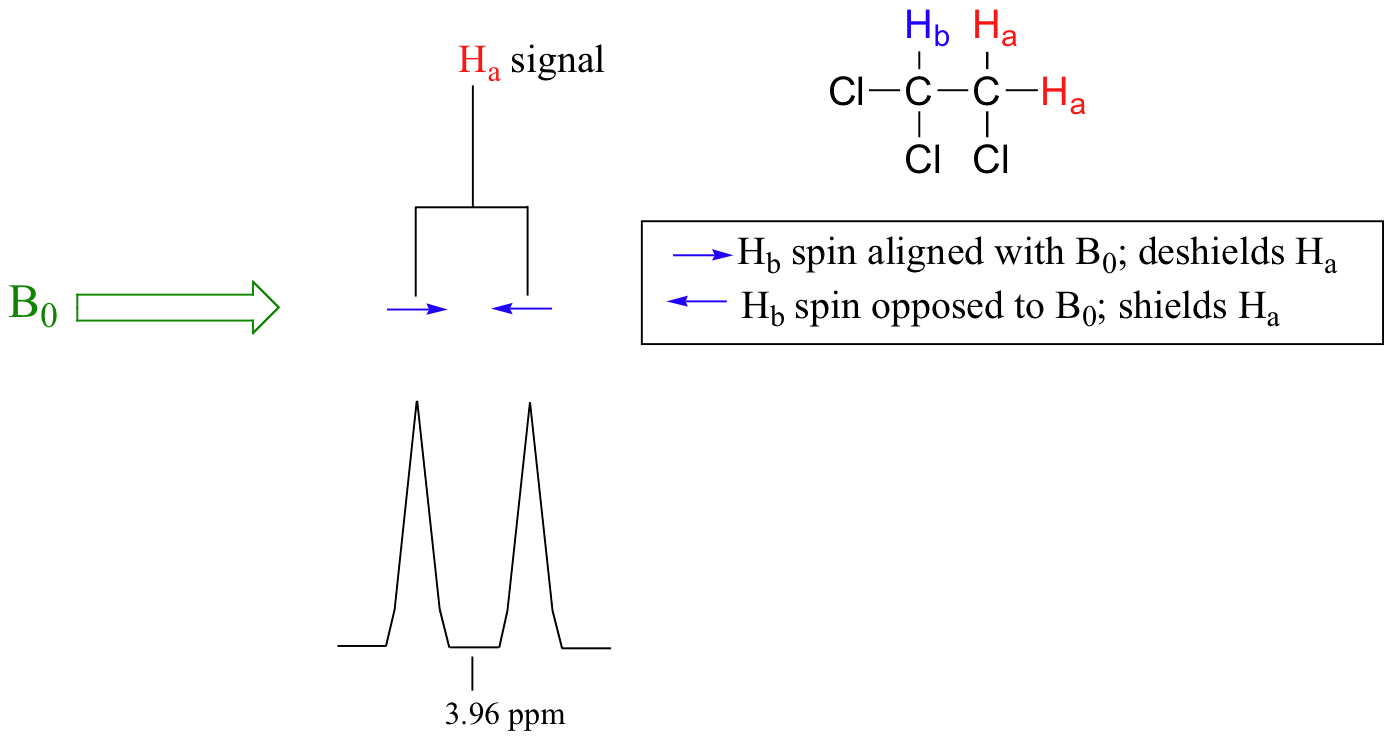 A diagram showing the spin-spin coupling between Ha and Hb in 1,1,2-trichloroethane. Ha is a doublet about 3.96 ppm. When Hb spin aligns with B0, Ha is deshielded (higher value peak). When Hb spin is opposed to B0, Ha is shielded (lower value peak).