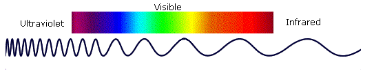 An image showing the wavelengths of ultraviolet, visible and infrared light. The wavelengths get longer as move from ultraviolet through visible to infrared.