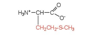 structural formula of methionine