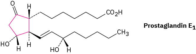 the chemical structure shown is Prostaglandin E which shows a substituted cyclopentane, The cyclopentene is shown as pink lines. It has two branches. The top branch is a long chain ending in a carboxylic acid group. The bottom branch is a long chain with a single double bond and an OH group attached.