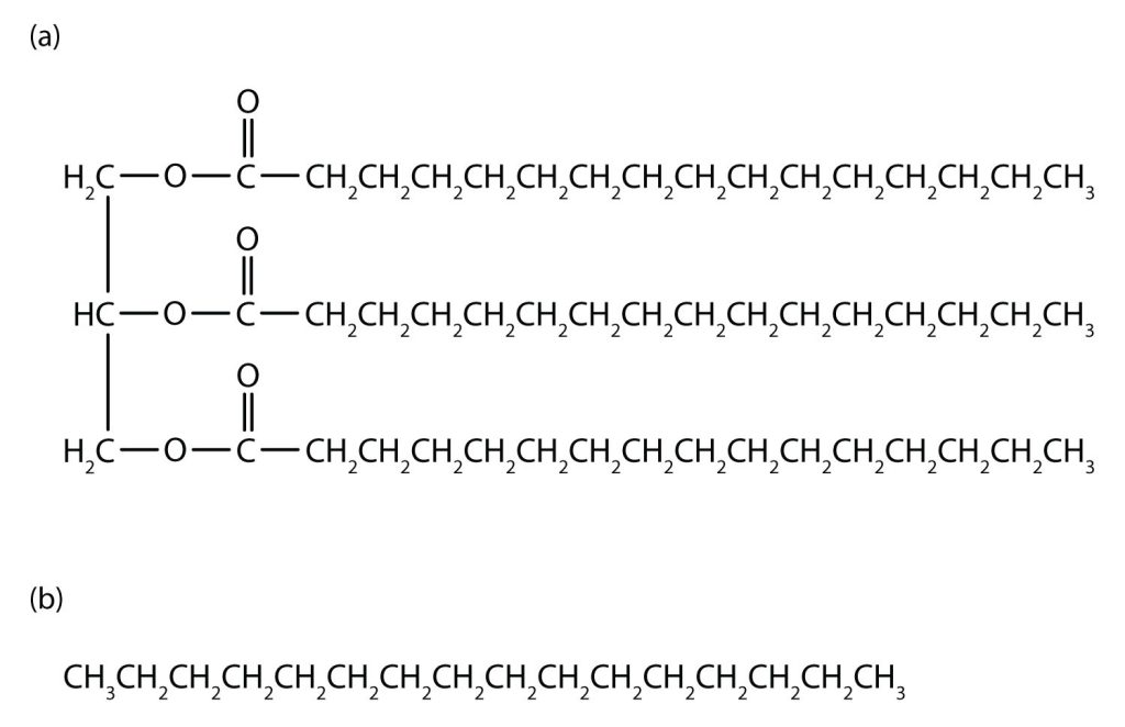 The top image is Tripalmitin (a), a typical fat molecule, has long hydrocarbon chains typical of most lipids. The bottom image is hexadecane (b), an alkane with 16 carbon atoms