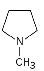The structure of a nitrogen within a cyclopentane molecule. Attached to the nitrogen is a methyl group.