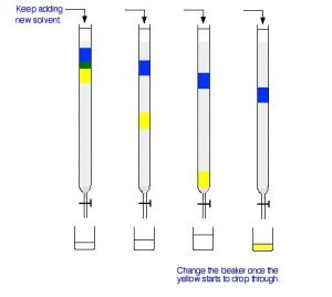 An image showing the evolution of green mixture separation over time of adding more solvent. The yellow component moves faster down the column than the blue component. At the end the yellow component is in the collection beaker and the blue component is about half way down the column. The beaker with the yellow component is switched with a new beaker once the yellow component is collected.