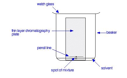An image showing the setup of TLC with thin layer chromatorgraphy plate in a beaker with a watch glass on top. The pencil line is on the plate near the bottom and the solvent touches the plate below the pencil line. The spot of mixture is located on the pencil line.
