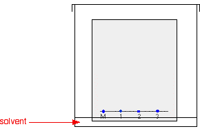 An image showing the placement of solvent in paper chromatography. Vertical paper with line in beaker with lid. Solvent touches paper but is below the marked line.