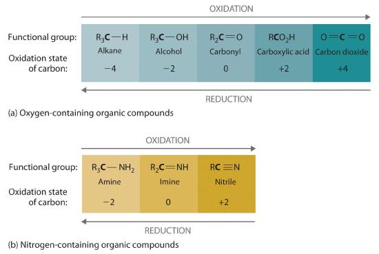 Top image shows oxygen-containing organic compounds and their relative oxidation state of carbon. Alkane, alcohol, carbonyl, carboxylic acid and carbon dioxide with oxidation states -4, -2, 0, +2 and +4 respectively. The bottom image shows nitrogen-containing compounds and the oxidation state of carbon. Amine, imine and nitrile with -2, - and +2 respectively.