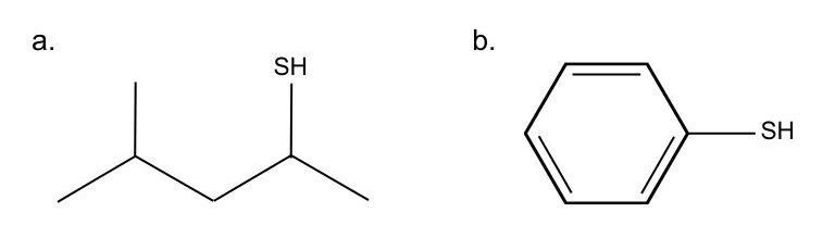 Two molecular structures from left to right: a) a 5 carbon chain with an SH group at the 2nd carbon and a methyl group at the 4th carbon; and b) a benzene ring with an SH group attached.