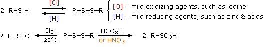 Two reactions shown. The top reaction shows a general structure of thiol (R-S-H) undergoing mild oxidation of thiol to disulfide. The bottom reaction shows R-S-S-H (a thoil) oxidized to R-SO subscript 3 H.