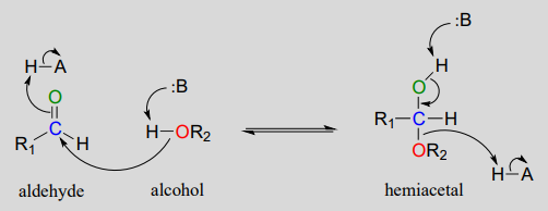 A carbonyl carbon of the aldehyde group connects to the oxygen from the alcohol group in a biochemical mechanism creating a hemiacetal formation
