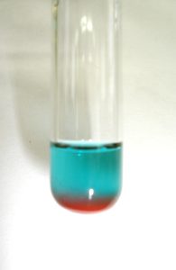 An image of a chemical reaction in a test tube: oxidation of aldehyde with Benedict's reagent.  Original blue reagent on top and resulting red precipitate on bottom. This indicates a positive result.