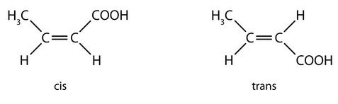 Two structures. On the left is the cis isomer of 2-butenoic acid. On the right is the trans isomer of 2-butenoic acid