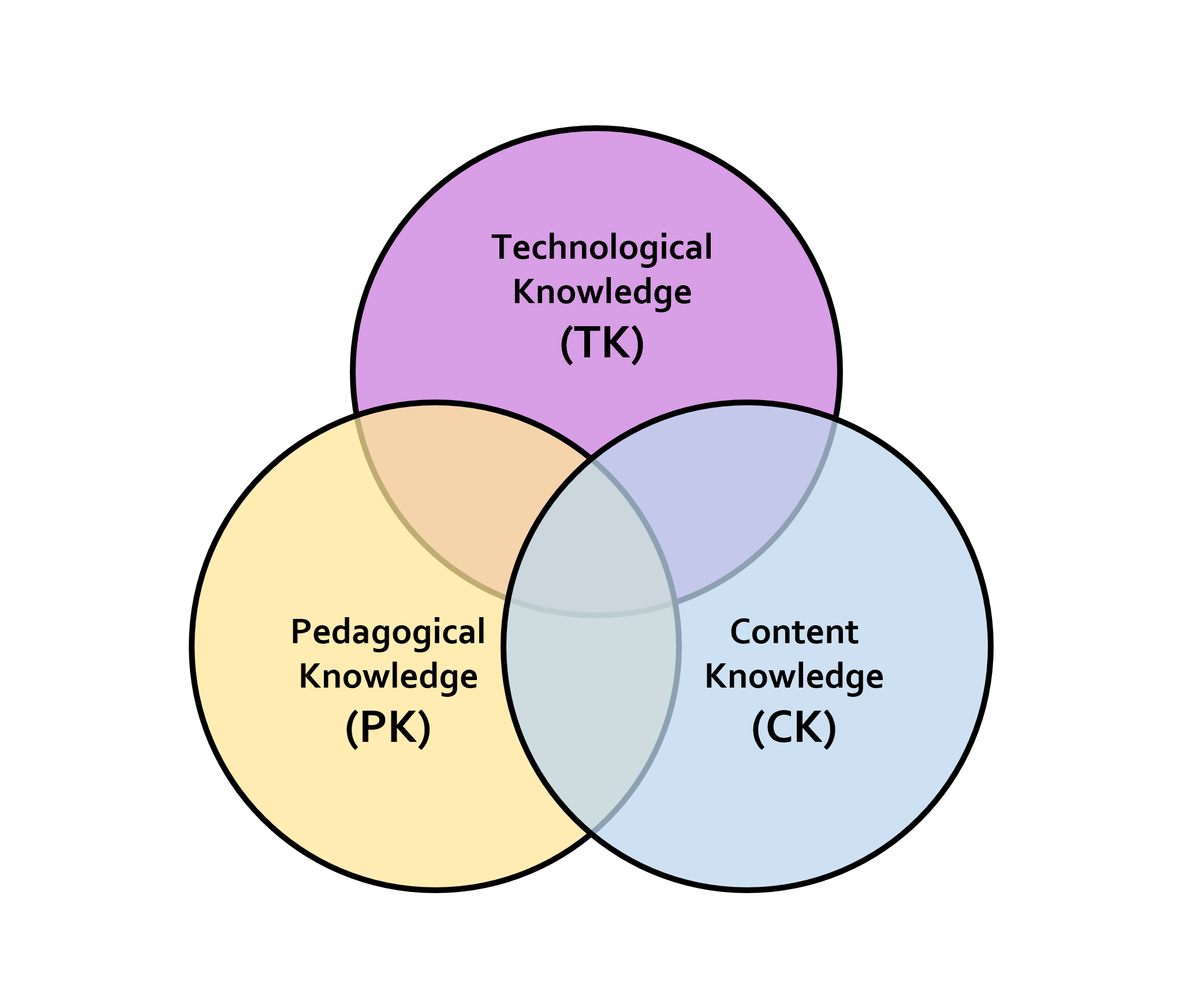 TPACK model Designer s guide The ENVISION experience