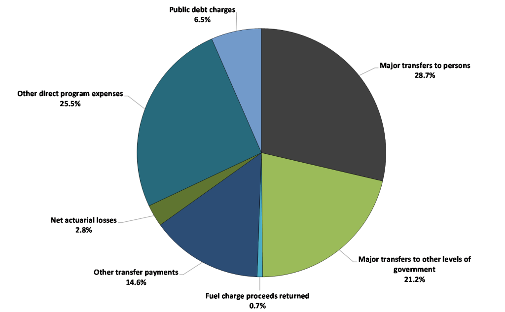 Illustrates composition of expenses reported by Canadian Federal Government, 2019-2020. Text version of data included in Table 12.2.
