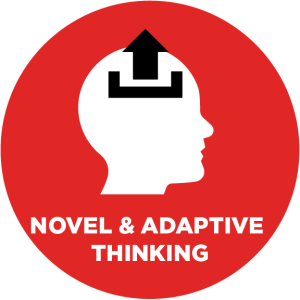 Novel & Adaptive Thinking