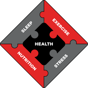 Jigsaw puzzle with pieces saying "Sleep", "Exercise", "Stress", "Nutrition", and "Health"