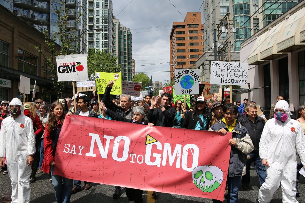 https://en.wikipedia.org/wiki/Environmentalism#/media/File:March_Against_Monsanto_Vancouver.jpg