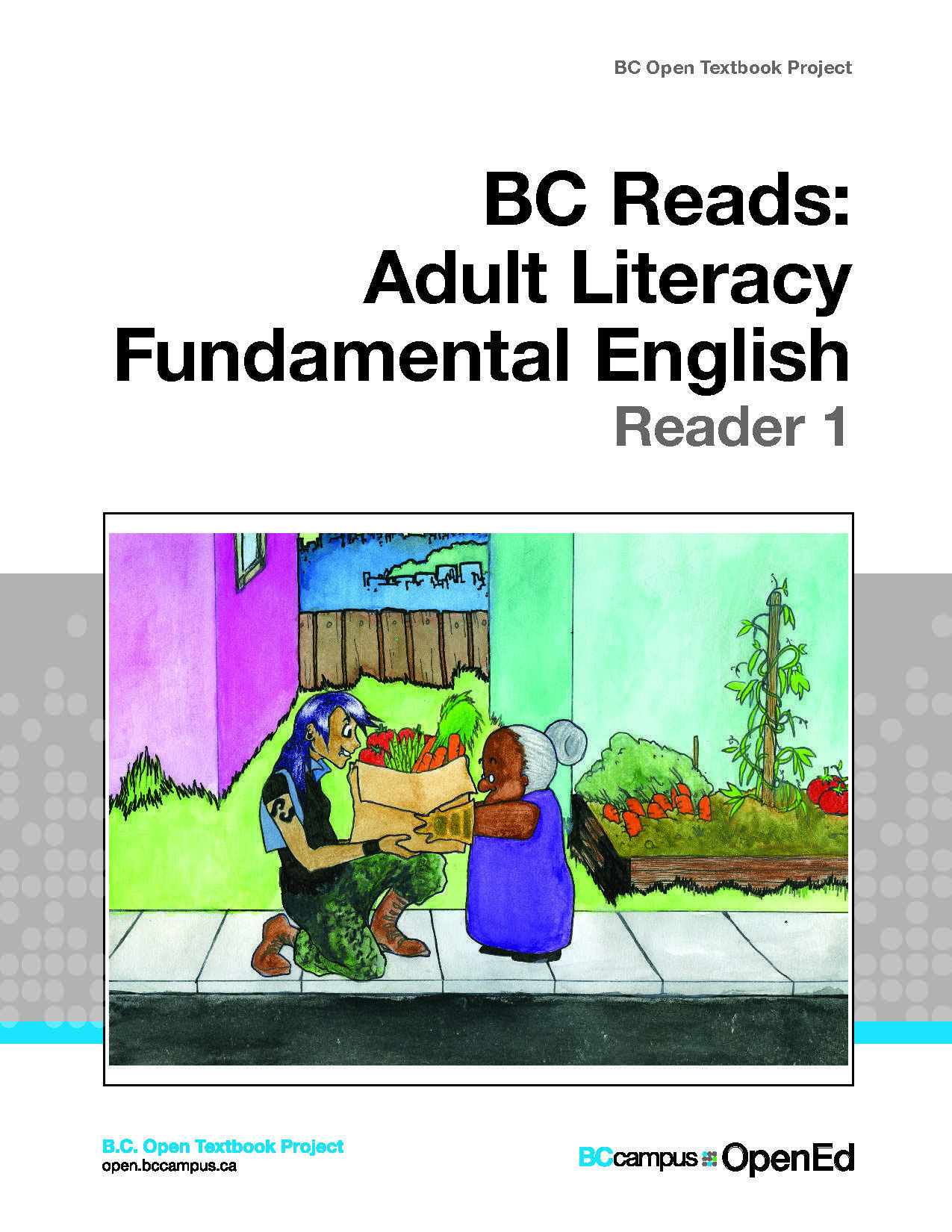 Cover image for Adult Literacy Fundamental English - Reader 1