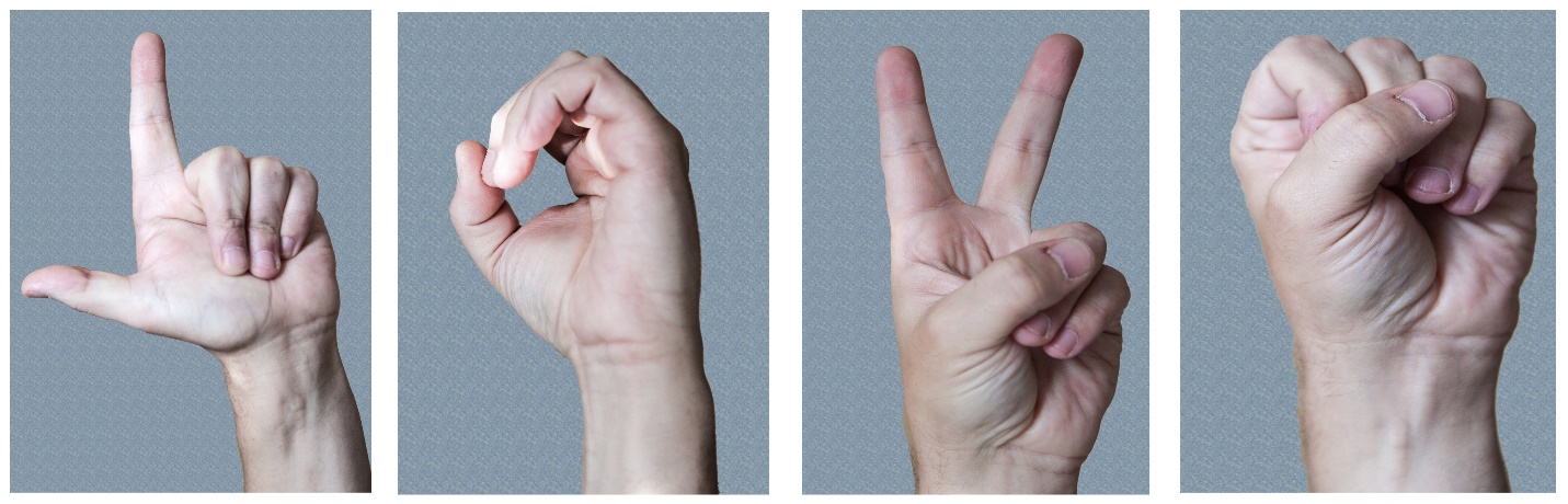 photograph of the letters L, O, V, and E in sign language.