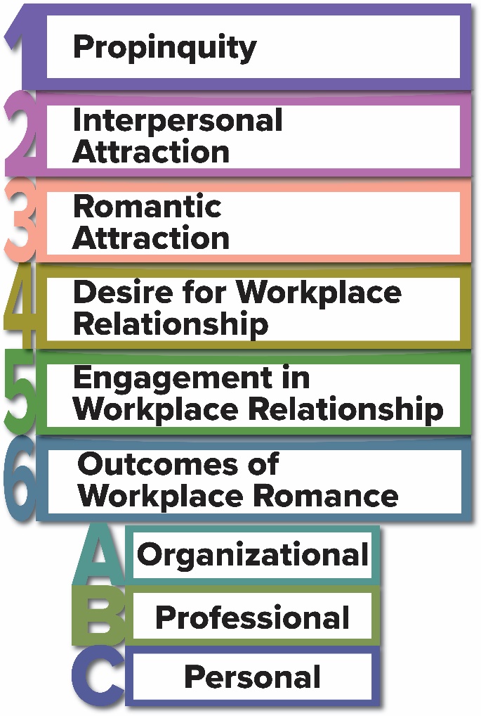 1) Propinquity. 2) interpersonal attraction. 3) Romantic attraction. 4) desire for workplace relationship. 5) Engagement in workplace relationship. 6)outcomes of workplace romance: a) organizational b) professional c) Personal.