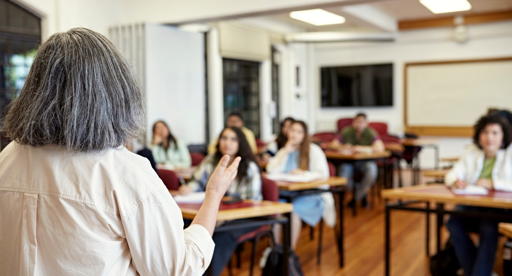 Photo of a woman teaching at the front of a university class.