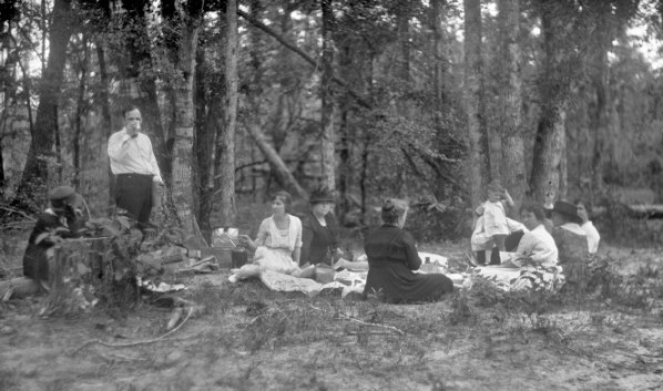 Picnic_in_a_wooded_area