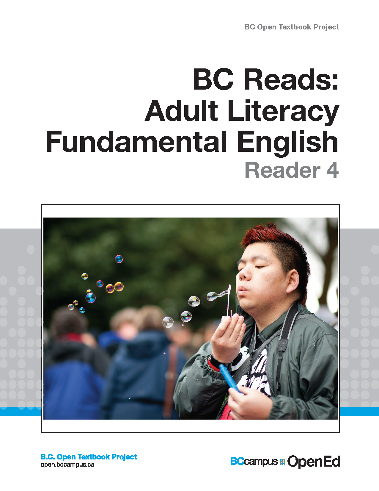 Cover image for Adult Literacy Fundamental English - Reader 4