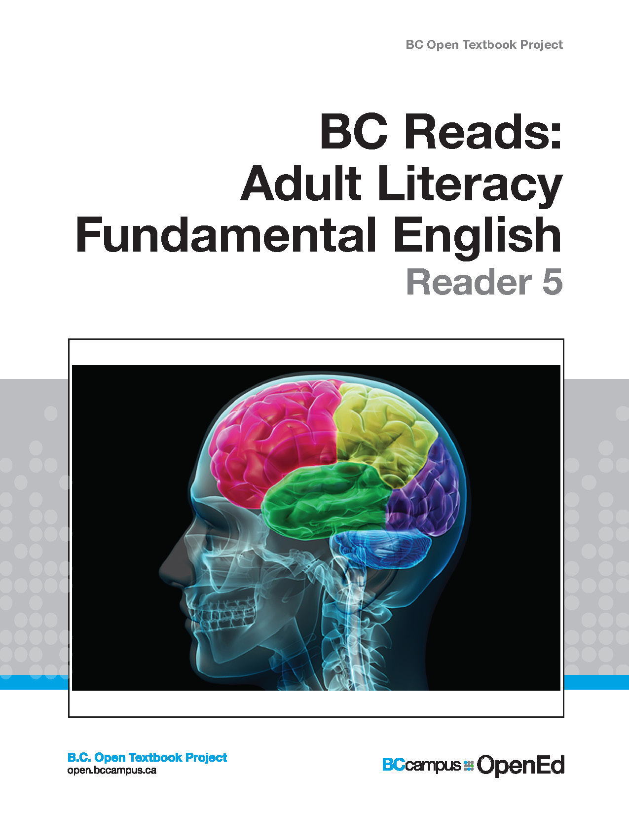 Cover image for Adult Literacy Fundamental English - Reader 5