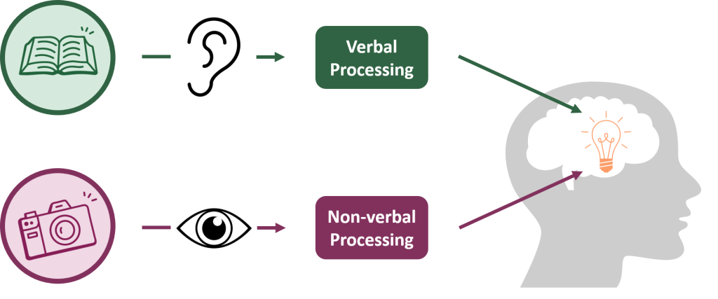 Two pathways are shown. One begins with a book, travels through an ear into a box labelled "Verbal Processing" before ending in the brain. The second pathway begins with a camera, travels through an eye into a box labelled "Non-verbal Processing" before ending in the brain. The two paths meet at a lit lightbulb inside the brain.