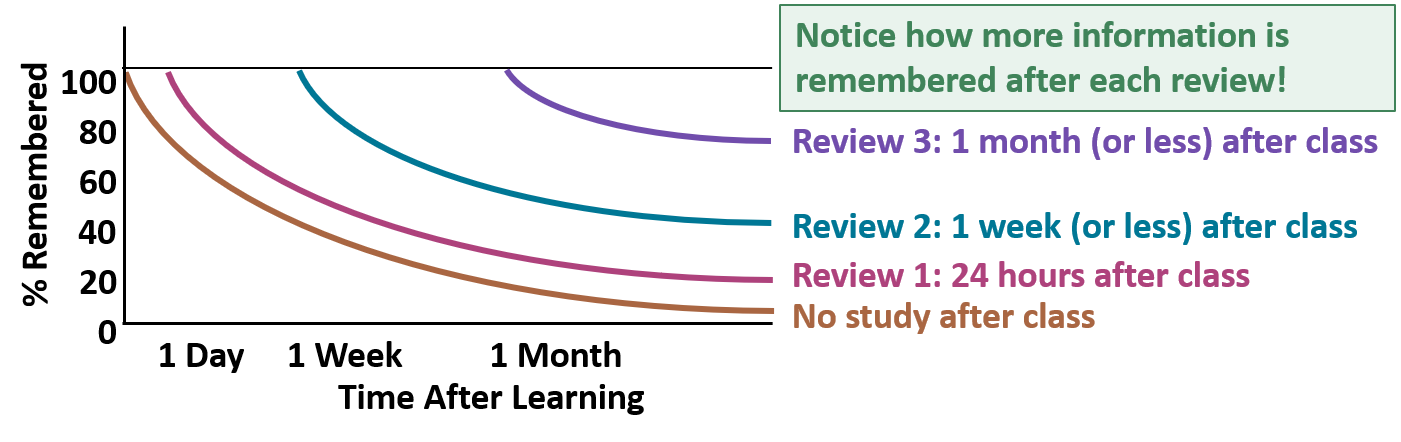 Chart measuring the forgetting curve