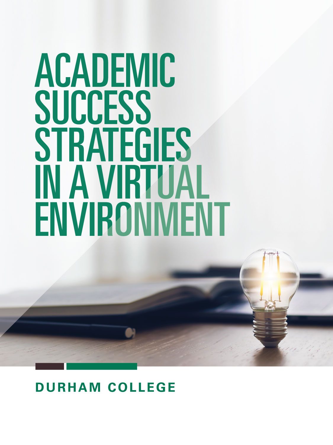 Cover image for Academic Success Strategies in a Virtual Environment