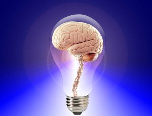 https://pixabay.com/en/brain-think-human-idea-20424/