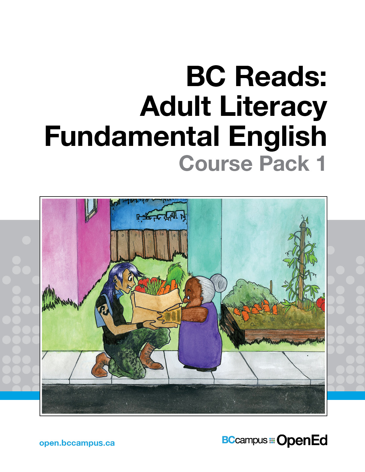 Cover image for Adult Literacy Fundamental English - Course Pack 1