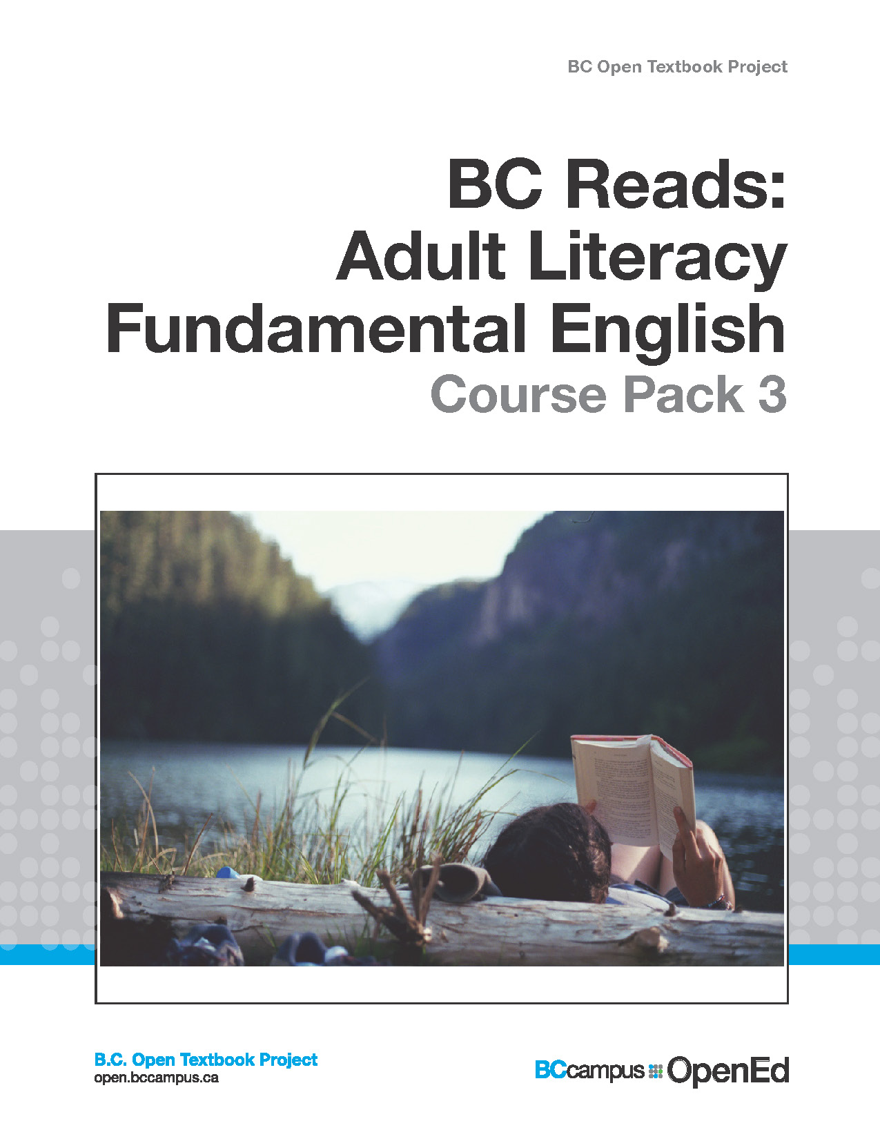 Cover image for Adult Literacy Fundamental English - Course Pack 3
