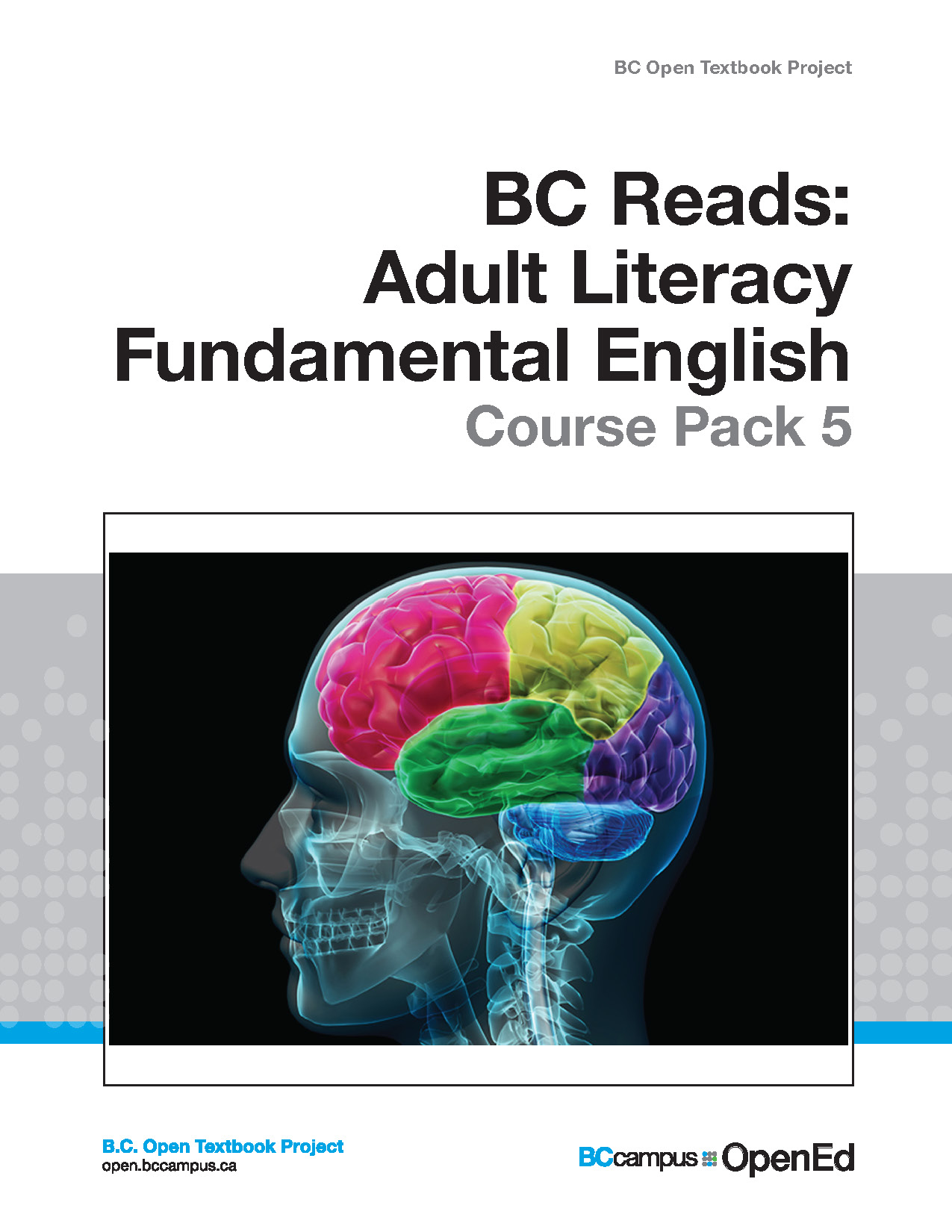 Cover image for Adult Literacy Fundamental English - Course Pack 5