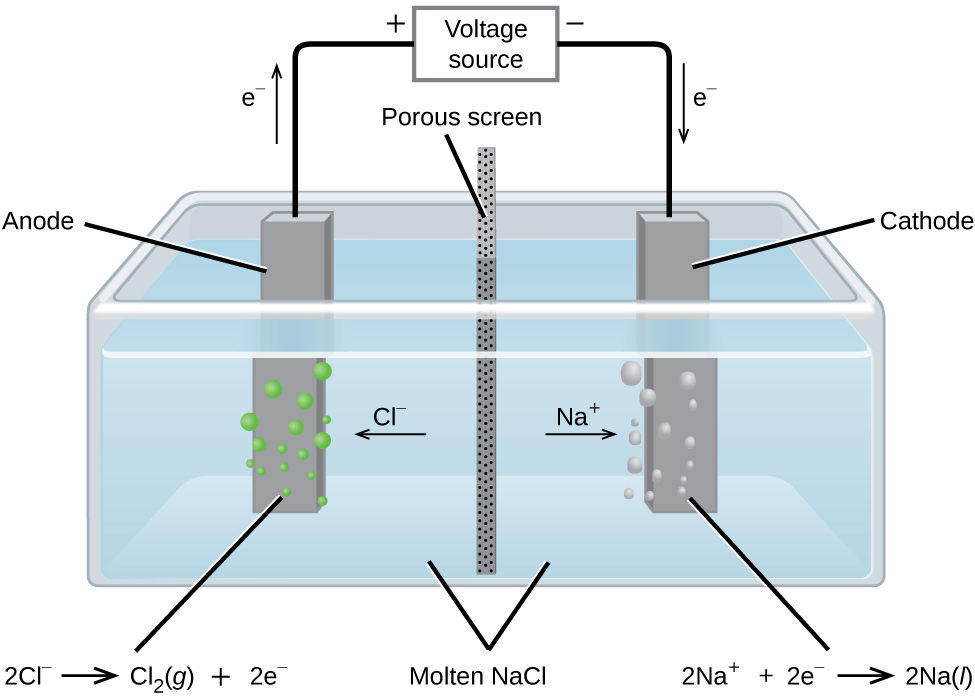 This diagram shows a tank containing a light blue liquid, labeled “Molten N a C l.” A vertical dark grey divider labeled “Porous screen” is located at the center of the tank dividing it into two halves. Dark grey bars are positioned at the center of each of the halves of the tank. The bar on the left, which is labeled “Anode” has green bubbles originating from it. The bar on the right which is labeled “Cathode” has light grey bubbles originating from it. An arrow points left from the center of the tank toward the anode, which is labeled “C l superscript negative.” An arrow points right from the center of the tank toward the cathode, which is labeled “N a superscript plus.” A line extends from the tops of the anode and cathode to a rectangle above the tank which is labeled “Voltage source.” An arrow extends upward above the anode to the left of the line which is labeled “e superscript negative.” A plus symbol is located to the left of the voltage source and a negative sign it located to its right. An arrow points downward along the line segment leading to the cathode. This arrow is labeled “e superscript negative.” The left side of below the diagram is the label “2 C l superscript negative right pointing arrow C l subscript 2 ( g ) plus 2 e superscript negative.” At the right, below the diagram is the label “2 N a superscript plus 2, e superscript negative, right pointing arrow, 2 N a ( l ).
