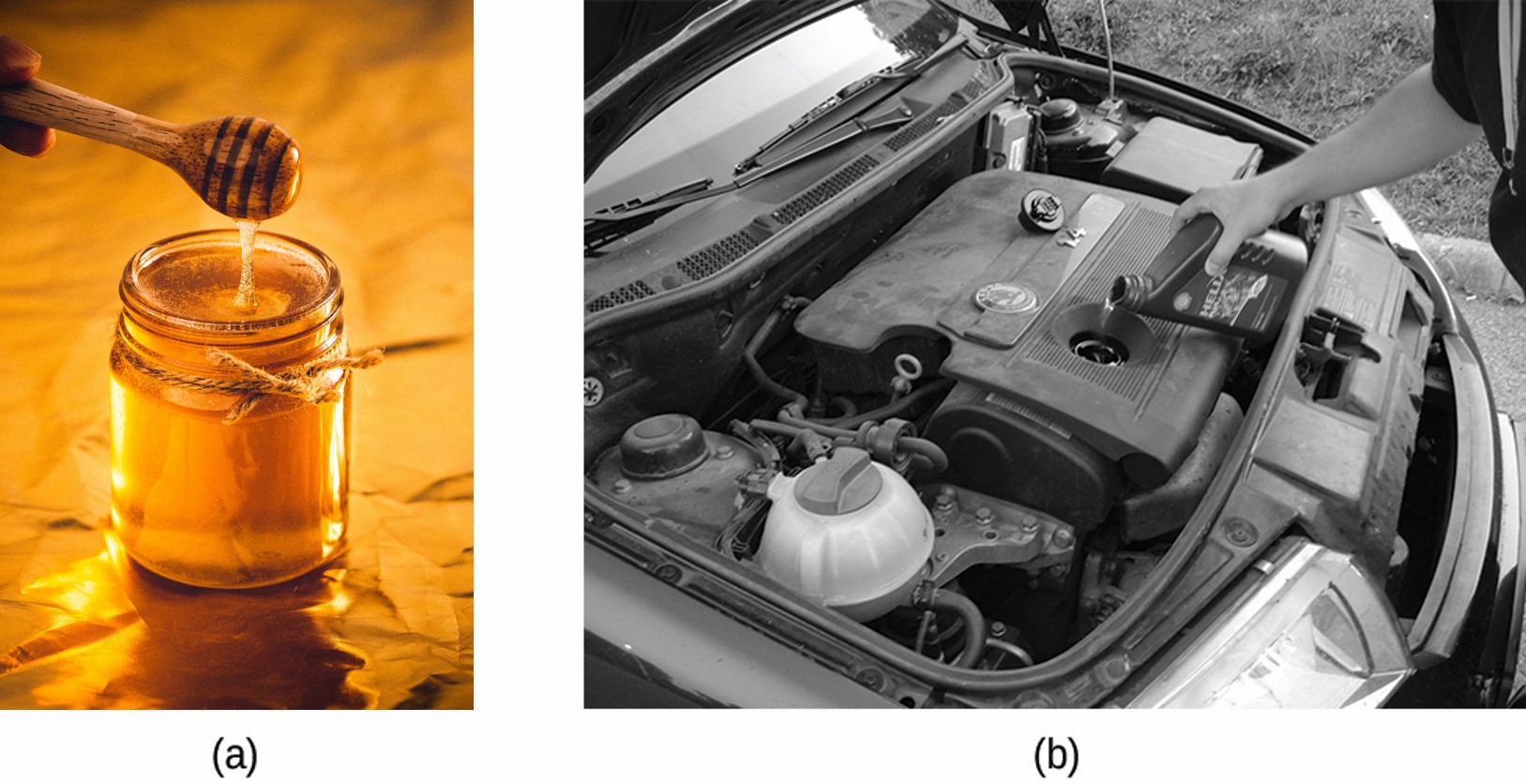 A jar of honey displaying its high viscosity and motor oil being poured into the engine of a car are pictured.