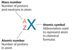 An isotope symbol template is pictured. The capital letter X is written and labelled as atomic symbol. It is the abbreviation used to represent the atom of the isotope. To the left of the capital X in superscript is the capital letter A, and in subscript is capital letter Z. “A” is labelled as Mass number - the number of protons and neutrons in atom. “Z” is labelled as Atomic number - number of protons in the atom.