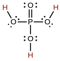 This image represents the Lewis structure for phosphoric acid. This acid is made up of phosphorous as the central atom, single bonded to three OH (hydroxide) groups and double bonded to an oxygen atom.