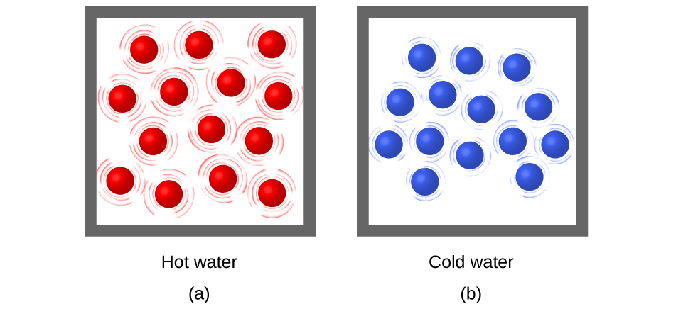 A box containing fourteen red spheres that are surrounded by lines indicating that the particles are moving rapidly is pictured. This drawing is labeled, hot water. To the right, another box of equal size contains fourteen blue spheres and is labeled as cold water. The blue circles are all surrounded by smaller lines that depict some particle motion, but not as much as the red spheres.