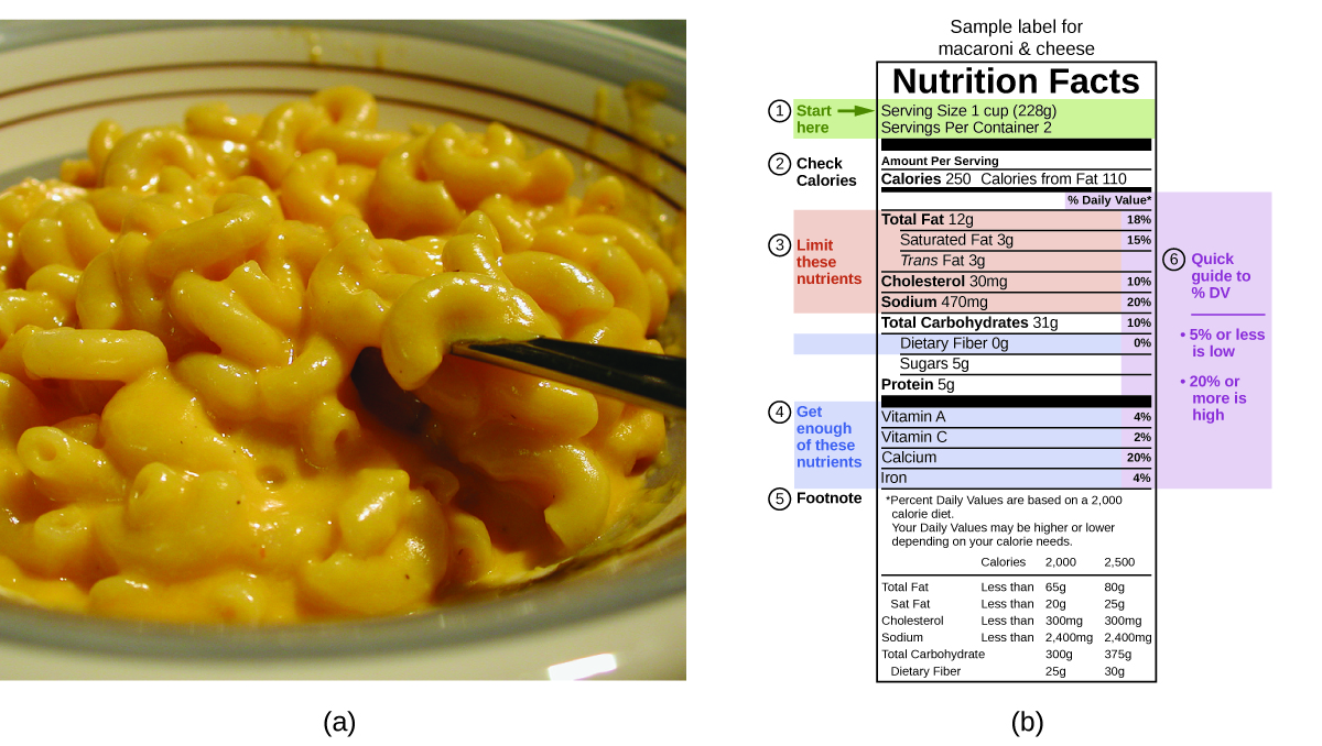 A close-up of a bowl of macaroni and cheese and a sample nutritional facts label for the mac and cheese is pictured. The food label contains highlighted nutritional fact information in a table format and provides details such as the mass of that nutrient per serving and its percent of total daily value. The label has highlighted text that read serving size one cup (228 g). A label to the left of these lines reads Start here and a right-facing arrow is beside these words. Below this are the words check calories which lie to the left of the phrases “Amount per serving” which is above the words “Calories 250” and “Calories from fat 210.” The next segment of the label is highlighted and contains important information about total fat including the phrase “Total fat 12 g,” The phrase below the fat information reads “Total carbohydrates 31 g” and below this a highlighted phrase “Proteins 5 g.” Below this is a highlighted portion containing information about vitamins or minerals in this food. In the footnote of this label it provides the percent daily values based on a 2,000 calorie diet. Each of the highlighted terms in the table are in line with a percentage value to the right of the table.