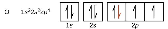 Oxygen orbital diagram is pictured: Starting from the Left: a capital O is written to represent the element oxygen. Next to the right is the electron configuration, 1 s superscript 2; 2 s superscript 2; 2 p superscript 4. Next the orbital diagram for oxygen is illustrated. There are 5 square boxes. Inside the first box are two black arrows, one points up and the other down. Under this box 1 s is written. The next square box to the right also contains two black arrows, one points up and the other down. Under this box 2 s is written. Next, three square boxes of the same size are connected. the first of the three contains two arrows, one Black arrow points up and the other arrow, which is red, points down. In the last two boxes, both contain one black arrow that points up. Under these three interconnected square boxes, 2 p is written.