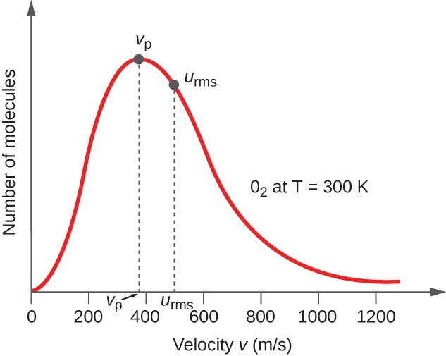 A graph is shown. The horizontal axis is labeled, “Velocity v ( m divided by s ).” This axis is marked by increments of 20 beginning at 0 and extending up to 120. The vertical axis is labeled, “Fraction of molecules.” A positively or right-skewed curve is shown in red which begins at the origin and approaches the horizontal axis around 120 m per s. At the peak of the curve, a point is indicated with a black dot and is labeled, “v subscript p.” A vertical dashed line extends from this point to the horizontal axis at which point the intersection is labeled, “v subscript p.” Slightly to the right of the peak a second black dot is placed on the curve. This point is labeled, “v subscript r m s.” A vertical dashed line extends from this point to the horizontal axis at which point the intersection is labeled, “v subscript r m s.” The label, “O subscript 2 at T equals 300 K” appears in the open space to the right of the curve.