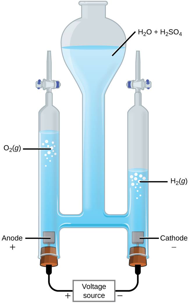 This figure shows an apparatus used for electrolysis. A central chamber with an open top has a vertical column extending below that is nearly full of a clear, colorless liquid, which is labeled “H subscript 2 O plus H subscript 2 S O subscript 4.” A horizontal tube in the apparatus connects the central region to vertical columns to the left and right, each of which has a valve or stopcock at the top and a stoppered bottom. On the left, the stopper at the bottom has a small brown square connected just above it in the liquid. The square is labeled “Anode.” A black wire extends from the stopper at the left to a rectangle which is labeled “Voltage source” on to the stopper at the right. The left side of the voltage source is labeled with a plus symbol and the right side is labeled with a negative sign. The stopper on the right also has a brown square connected to it which is in the liquid in the apparatus. This square is labeled “Cathode.” The level of the solution on the left arm or tube of the apparatus is significantly higher than the level of the right arm. Bubbles are present near the surface of the liquid on each side of the apparatus, with the bubbles labeled as “O subscript 2 ( g )” on the left and “H subscript 2 ( g )” on the right.