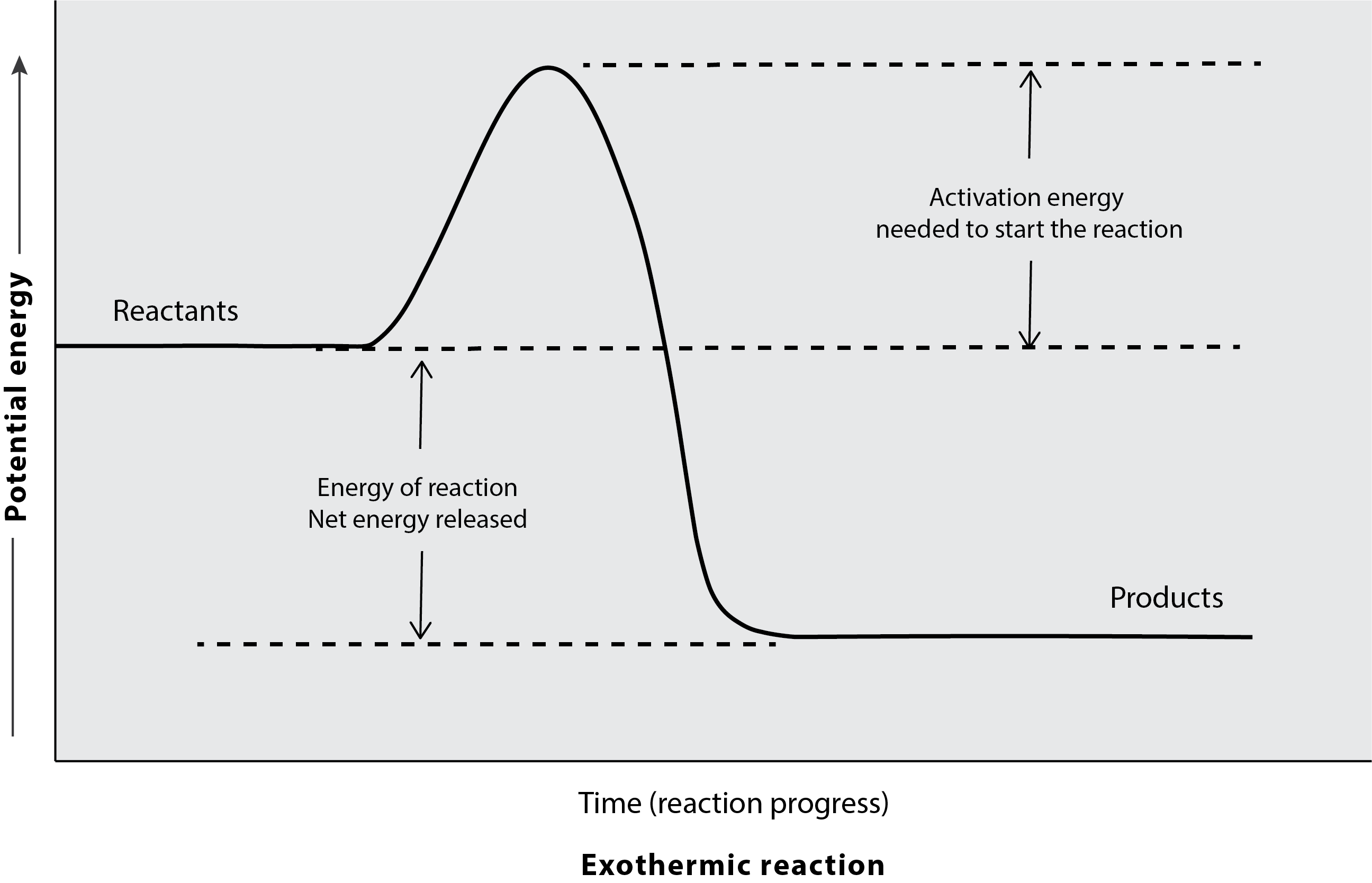 As an exothermic reaction progresses over time the reactants have more potential energy than the resulting products indicating that energy was given off during the reaction.