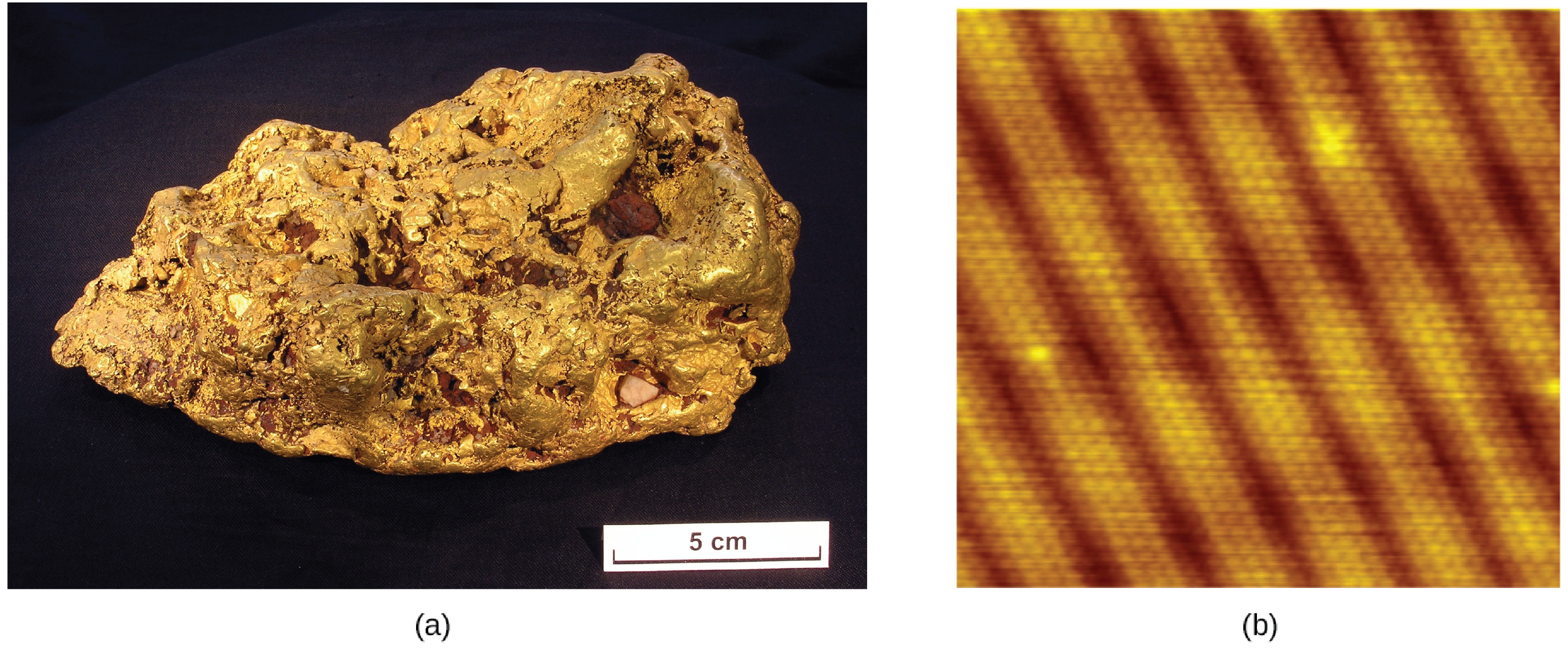A gold nugget, as it would appear to the naked eye, is very irregular, with many sharp edges. The microscope image of a gold crystal shows many similarly sized gold stripes that are separated by dark areas. Looking closely, one can see that the gold stripes are made of many, tiny, circular atoms.